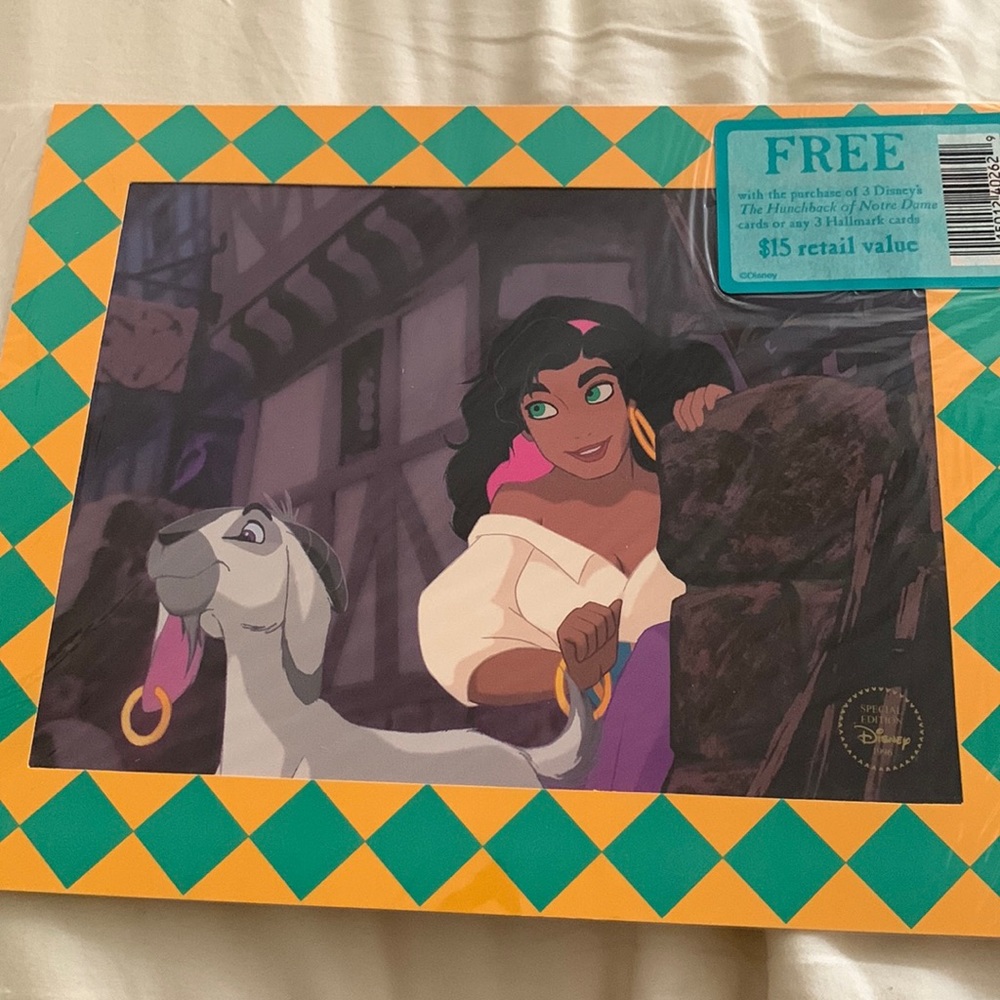 Special Edition 1996 Hunchback Of Notre Dame Esmeralda Picture NWT